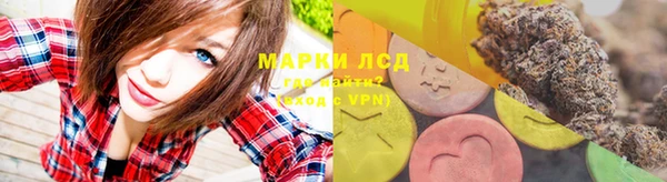 стафф Ельня