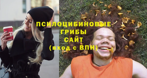 прущие крисы Дмитров