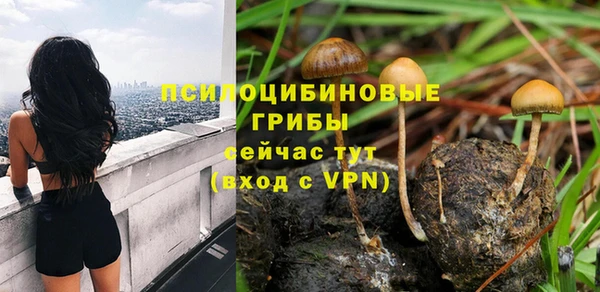 прущие крисы Дмитров