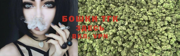 крисы Гусев