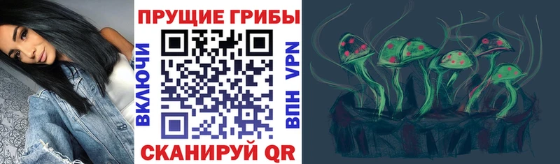 Псилоцибиновые грибы прущие грибы  Купить где  Сольцы 