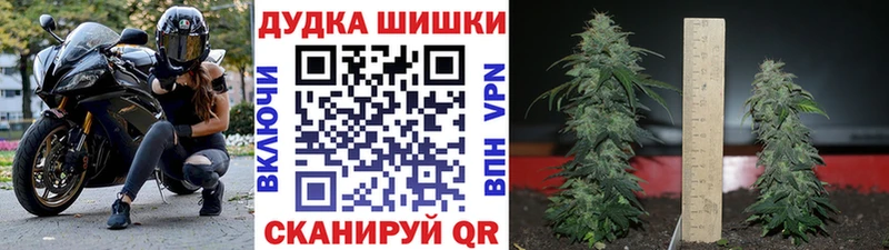 Купить где Сольцы Шишки марихуана план